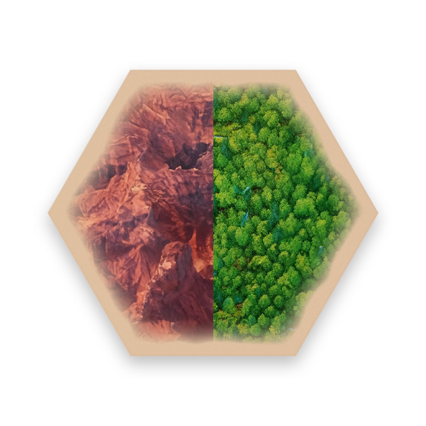 Split-Resource Hexes compatible with Catan's Settlers of Catan