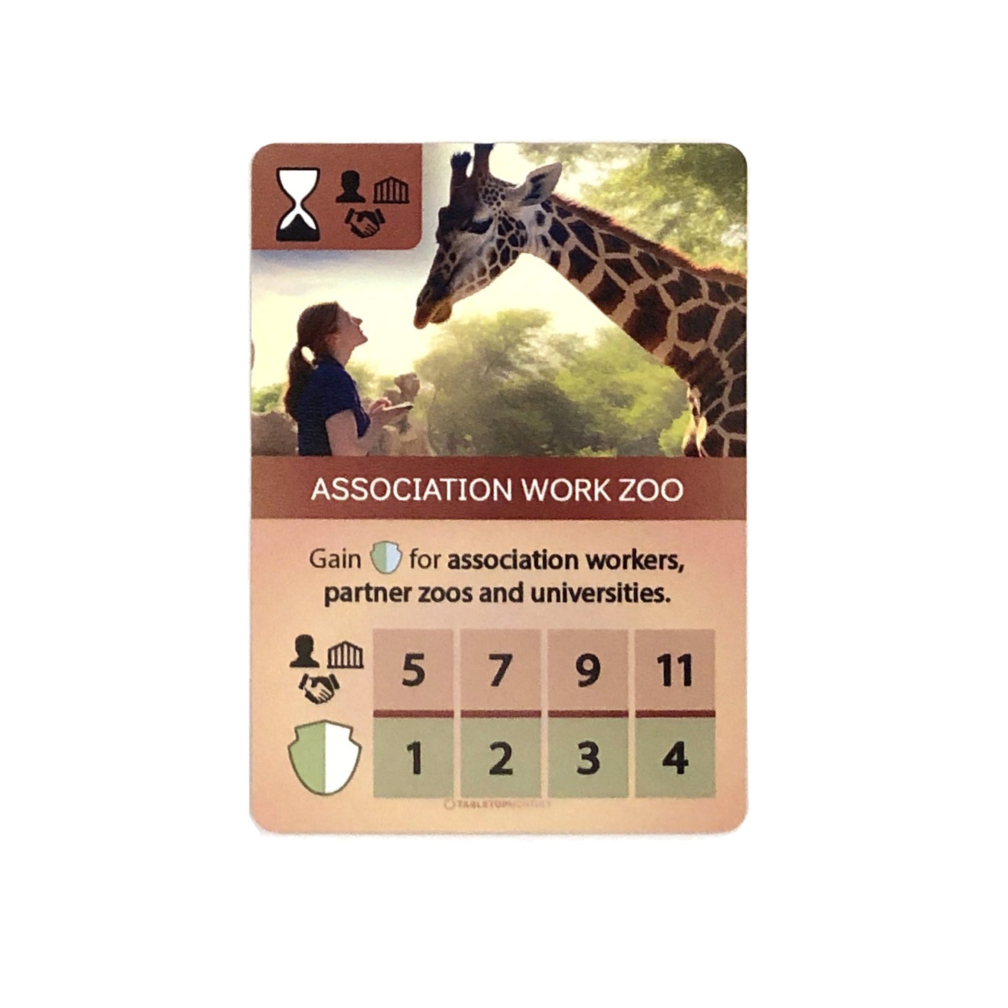 Final Scoring Cards expansion compatible with Capstone Games' Ark Nova