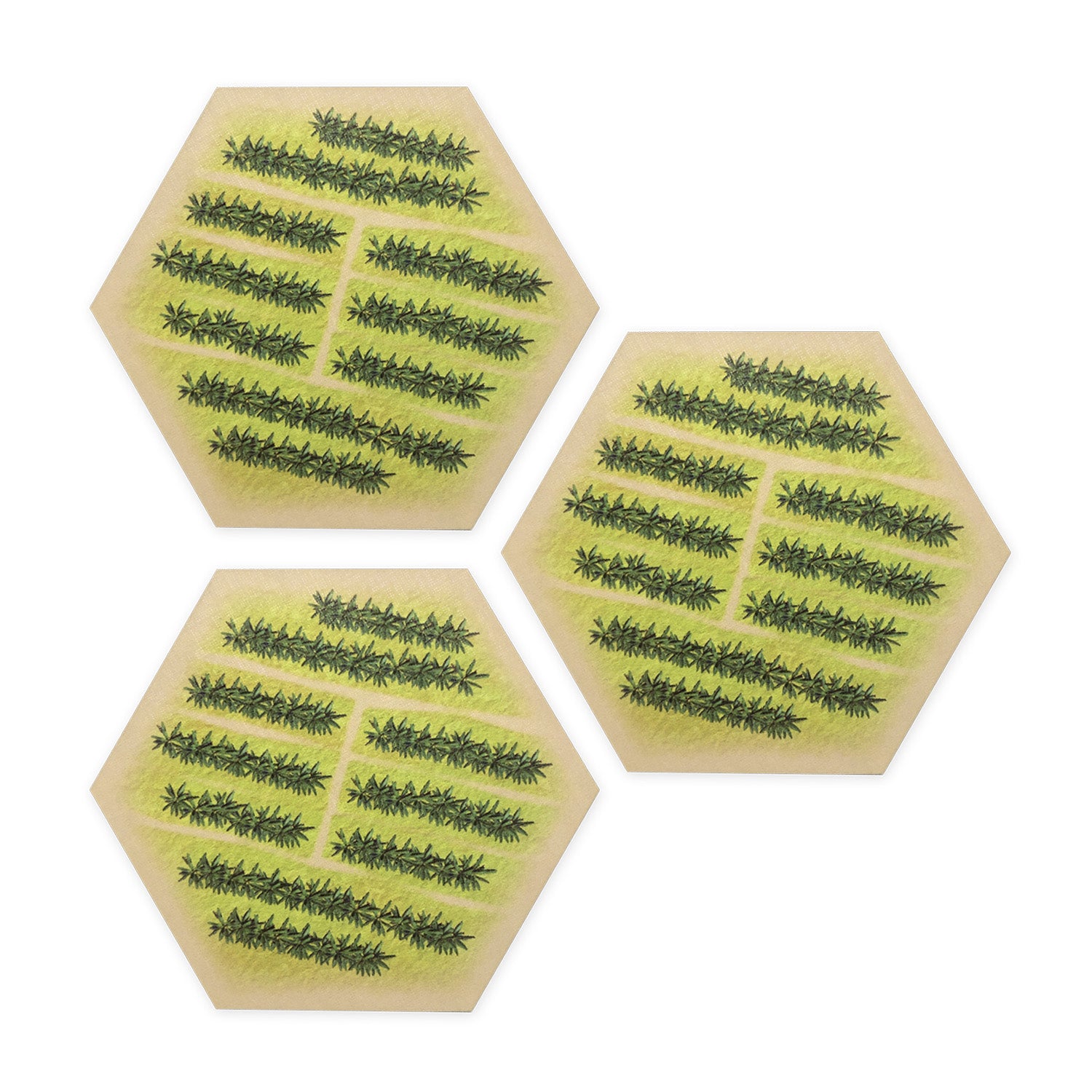 Plantation Scenario Hex compatible with Catan's Settlers of Catan, Sea ...